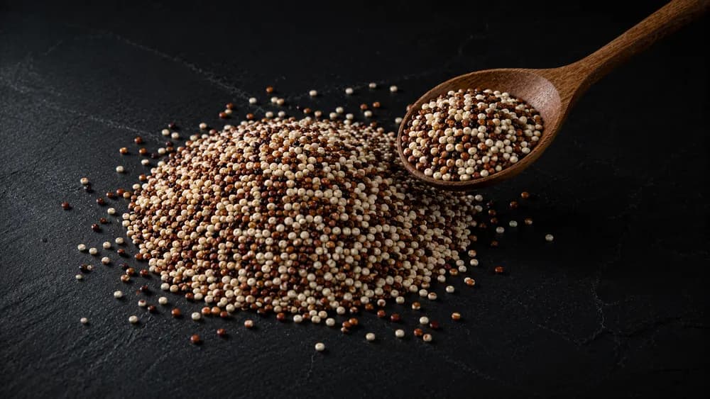 Rohe Quinoa-Samen auf dunklem Steinuntergrund