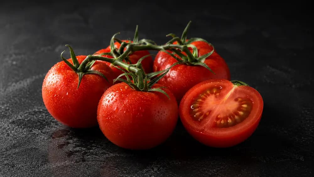 Reife rote Tomaten am Strauch